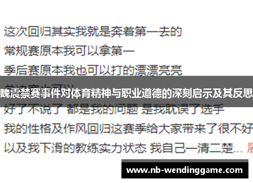 魏震禁赛事件对体育精神与职业道德的深刻启示及其反思
