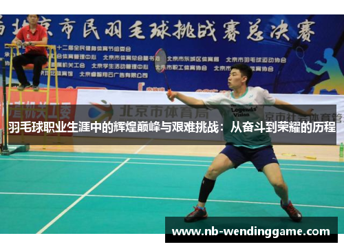 羽毛球职业生涯中的辉煌巅峰与艰难挑战：从奋斗到荣耀的历程