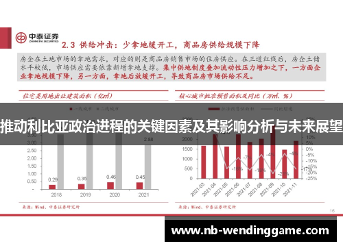 推动利比亚政治进程的关键因素及其影响分析与未来展望