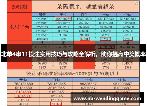北单4串11投注实用技巧与攻略全解析，助你提高中奖概率