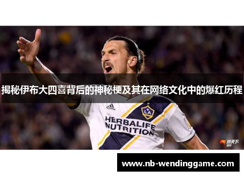 揭秘伊布大四喜背后的神秘梗及其在网络文化中的爆红历程
