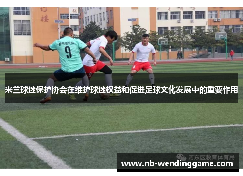 米兰球迷保护协会在维护球迷权益和促进足球文化发展中的重要作用