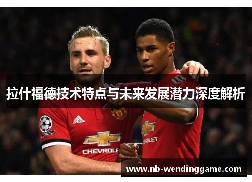 拉什福德技术特点与未来发展潜力深度解析