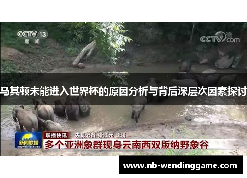 马其顿未能进入世界杯的原因分析与背后深层次因素探讨